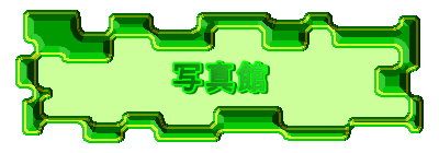 ʐ^