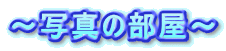 `ʐ^̕`