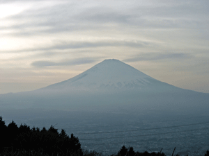 fujisann